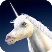 Unicorns Quest 3D