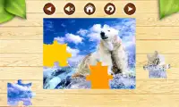 Bears Jigsaw Puzzles Brain Games for Kids FREE Screen Shot 2