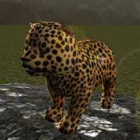 nyata cheetah anak simulator