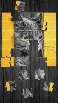 Kucing Lucu Permainan Puzzle Screen Shot 2