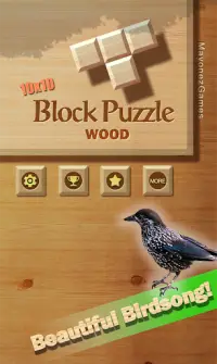 Puzzle de bloco de madeira1010 Screen Shot 0