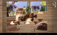 Cat Puzzle Games Free Screen Shot 7