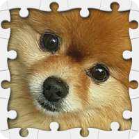 Lucu Puppies Jigsaw