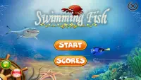 Swimming Fish game Screen Shot 1