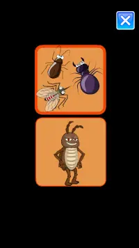 سحق الحشرات - العاب منوعة Screen Shot 8