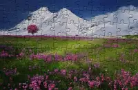 the jigsaw puzzles Screen Shot 3