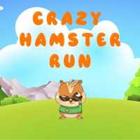 Crazy Hamster Run