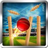 cricket bowling 3d 2017