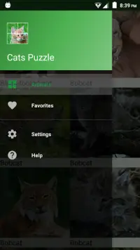 Cats Puzzle Screen Shot 4