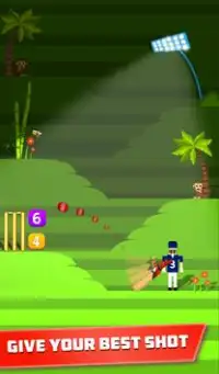 Mr. Bat: The Cricket Game Screen Shot 4