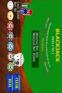BlackJack Screen Shot 1