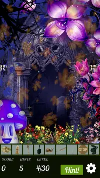 Hidden Object Adventure - Midnight Magic Screen Shot 2