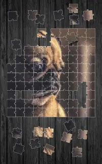 Cute Dogs Jigsaw Puzzle Screen Shot 6