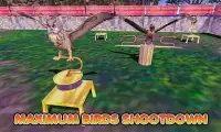 Birds Shooting 2018 Screen Shot 4