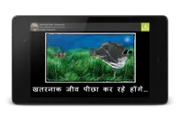 Wonder Fish नि: शुल्क खेलों HD Screen Shot 14