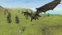 Flying Fury Dragon Simulator Screen Shot 0