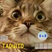 Taquitoゲム-数学のボールの猫の子供の無料の教育ゲーム