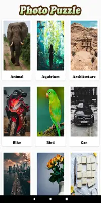 Photo Puzzle 2021 Screen Shot 7