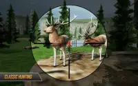 Wild Animal Hunting Game : Sniper 3D Deer Hunter Screen Shot 2
