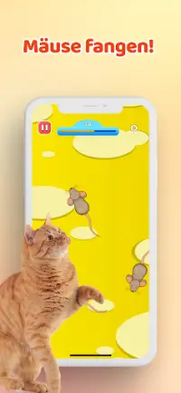 Spiel für Katzen－Maus & Fisch Screen Shot 0