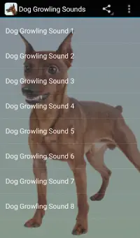 Dog Growling Sounds Screen Shot 0