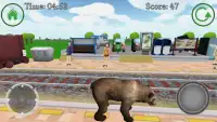 Bear Simulator Screen Shot 4