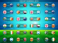 Cricket Game Championship 2019 Screen Shot 3