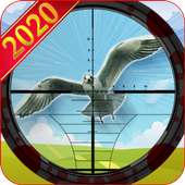 Bird Hunt - Bird Hunting and Shooting game