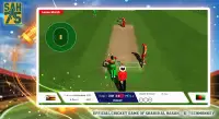 SAH75 Cricket Championship Screen Shot 4