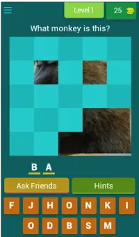 Guess the Monkey - 2021 Quizz Screen Shot 1