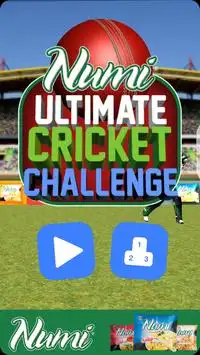 Numi Cricket Ultimate Challenge Screen Shot 0