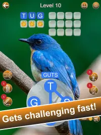 Word Soar - Fun Puzzle Game Screen Shot 10