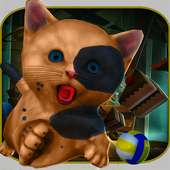 CATS : Crazy Ninja Kitty Simulator