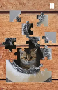 Katzenpuzzle - Katze.org Screen Shot 0