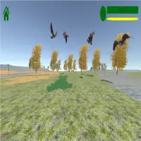 Shooting Bird Capacity Screen Shot 1