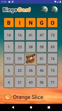 Bingo Card Screen Shot 0