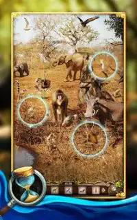 Wildlife Mystery: Animals Life Screen Shot 1