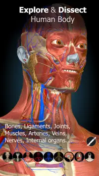 Anatomy Learning - 3D Atlas Screen Shot 0