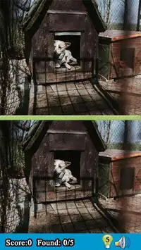 Spot de verschillen tussen twee foto's Game Screen Shot 3
