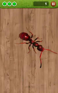 Ant Smasher Screen Shot 9