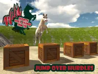 Wild Horse Hill Climb Sim 3D Screen Shot 11