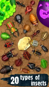 Hexapod pertandingan serangga semut kumbang kecoak Screen Shot 0