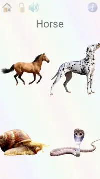 Play and learn: animals,colors,numbers,curiosities Screen Shot 1