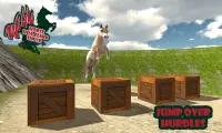 Wild Horse Hill Climb Sim 3D Screen Shot 1