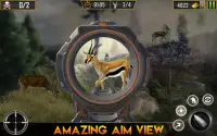 Wild Animal hunting game: Animal Shooting Games Screen Shot 2