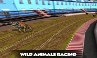 Gila ras anjing sungguhan: Game balap Greyhound Screen Shot 3