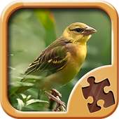 Jeux de Puzzle Oiseaux