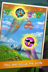 Bubble Bird Extreme Screen Shot 3