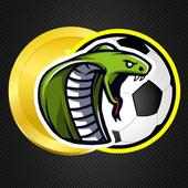Football Snake