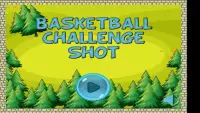 Basketball Challenge Shot Screen Shot 0